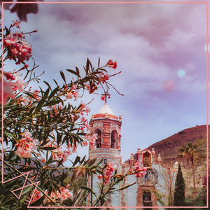 越南第一次摘花
